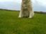 Blanding af racer Luna R.I.P 15/6.06 <3<3 