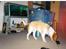 Beagle Max 