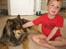 Finsk lapphund Lapinlempi Aamuntuike - ja bare klø lige der......