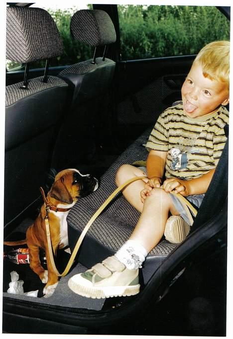 Boxer Arlu - Arlu´s første køretur nu 8 uger gammel. Lasse er rigtig stolt. 2001 billede 10