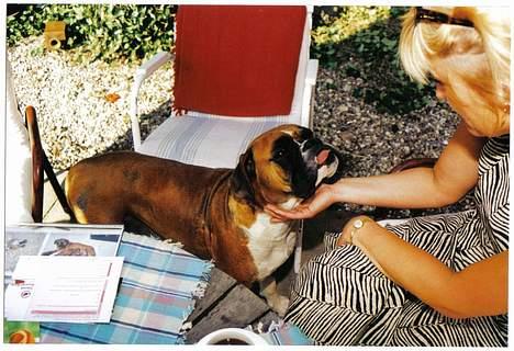 Boxer Arlu - Addi som er Arlu´s mor 2001 billede 12