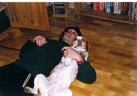 Beagle Max  billede 13