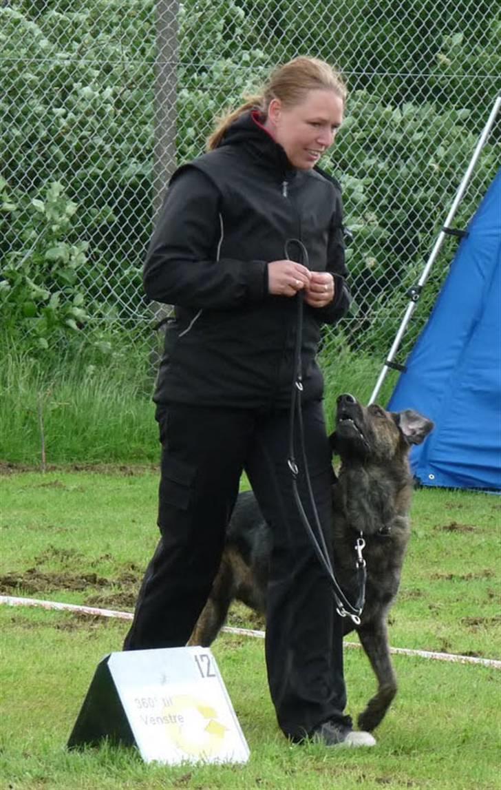 Blanding af racer Columbo "Oh, there's just - Min første Rally prøve billede 8