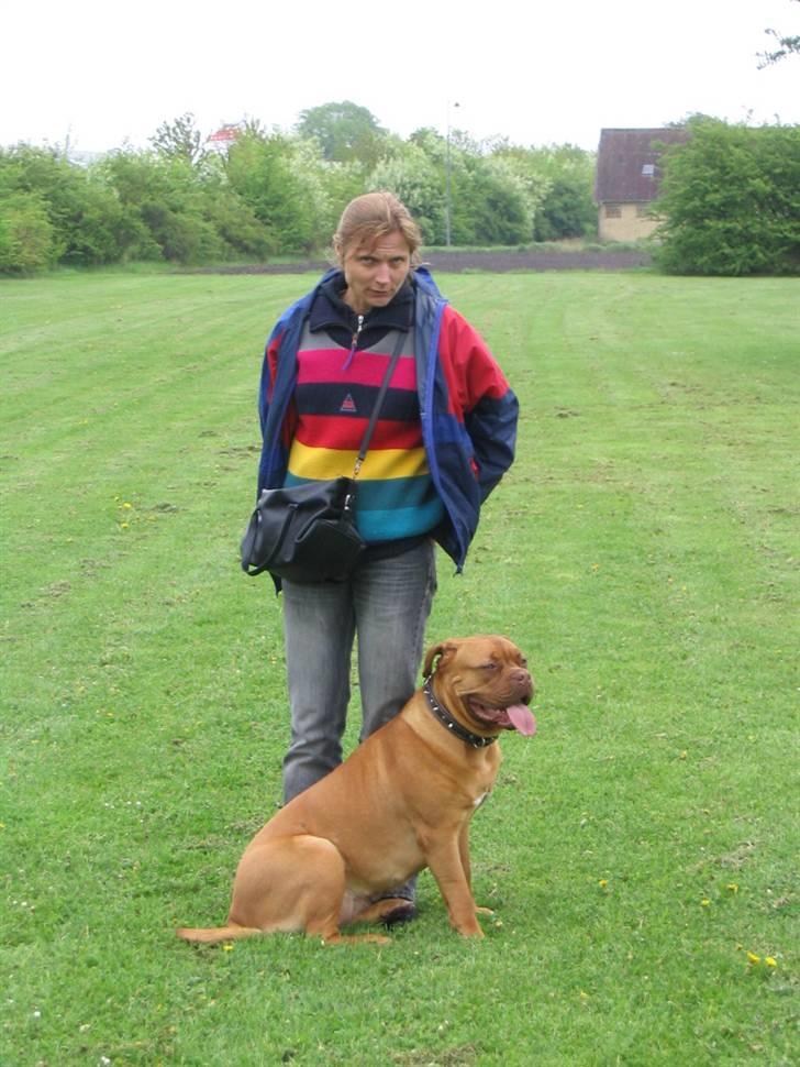 Dogue de bordeaux Freja - Død marts 2012. - Freja med mor billede 7