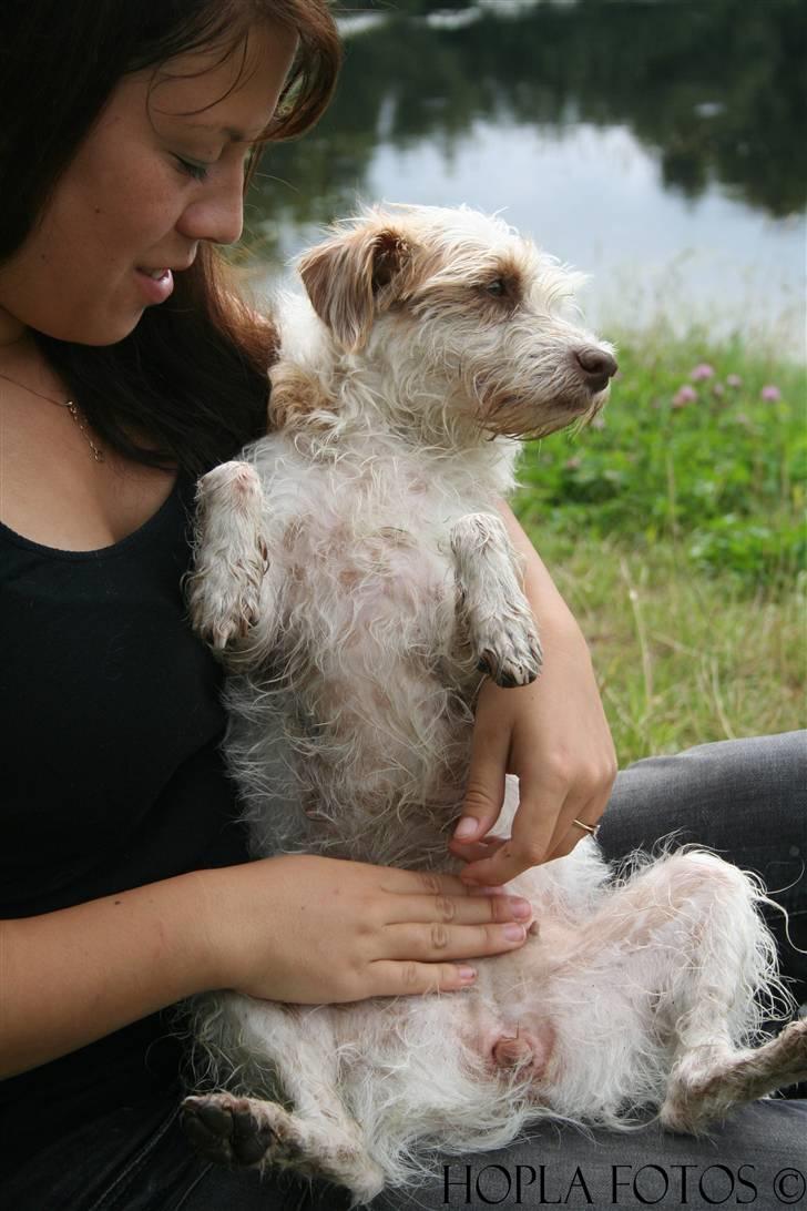 Blanding af racer Bella - Mig og min mor æææælsker hinanden.. billede 8