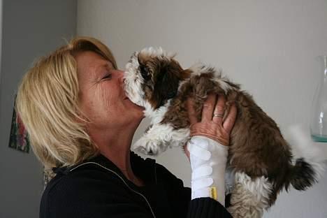 Shih tzu Kalle - Mig og min mor... billede 6