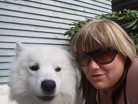 Samojedhund Bamse  - Søs og Bamse billede 15