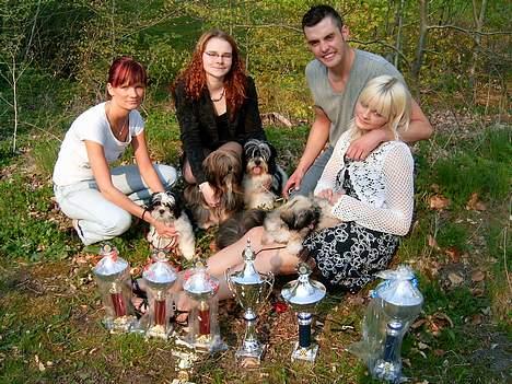 Lhasa apso  LAUNA  - her er vi lige blevet færdige med at udstille mig og launa sidder som nr to fra venstre billede 2