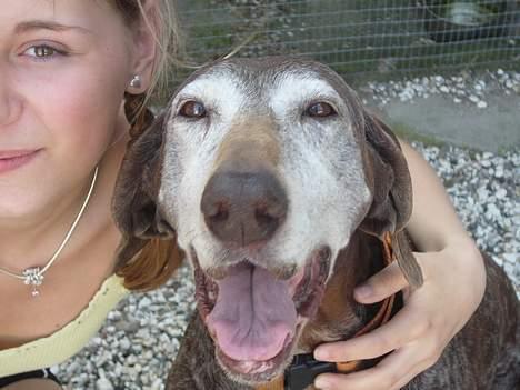 Blanding af racer Ticki billede 4