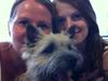 Cairn terrier Holly