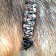 Schæferhund Maja -My Angel, and my Everything!