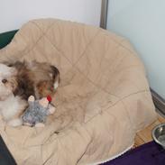 Blanding af racer Misla