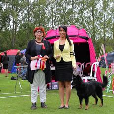 Chodsky Pes Herrera Vita Canina