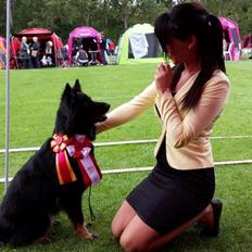 Chodsky Pes Herrera Vita Canina