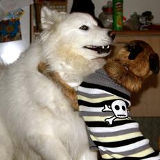 Blanding af racer Charlie