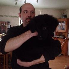 Blanding af racer Loke