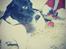 Pointer Wilson