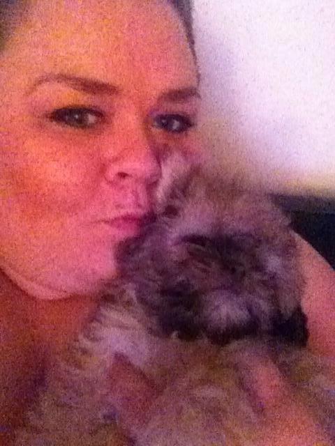 Shih tzu Molly billede 9