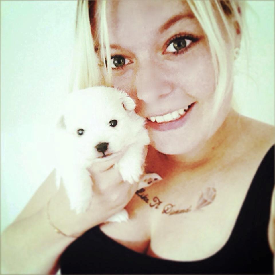 Blanding af racer Armani - så begynder vi at blive pjuskede, pelsen vokser og vokser og det samme gør armani!  billede 3