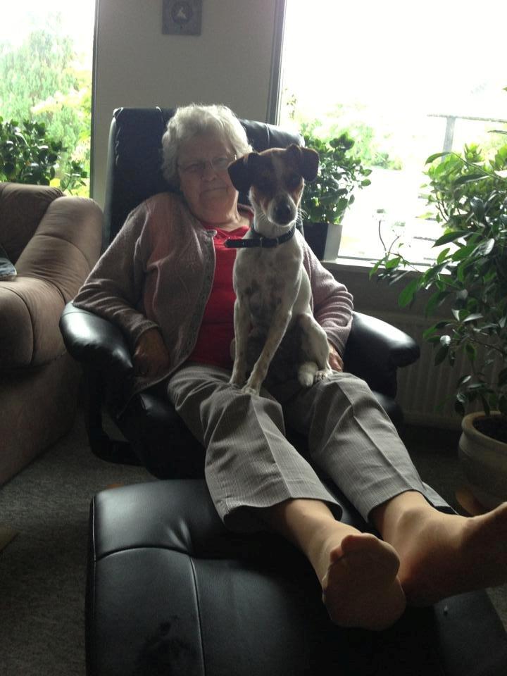 Blanding af racer Mira - hygge med mormor.  billede 23