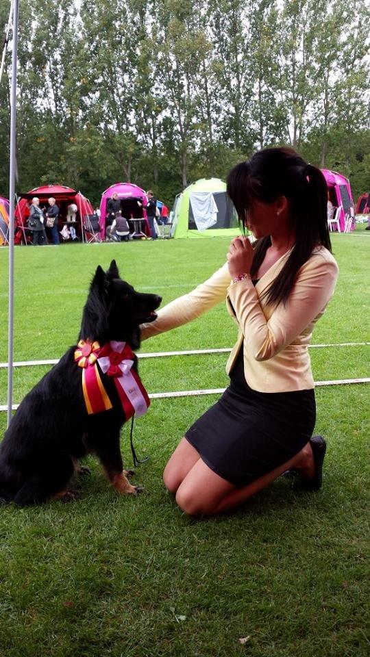 Chodsky Pes Herrera Vita Canina billede 3