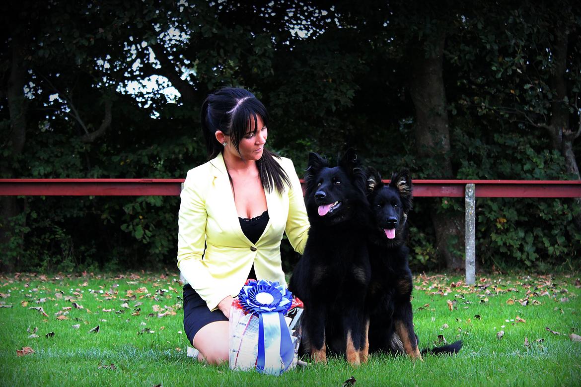 Chodsky Pes Herrera Vita Canina billede 18