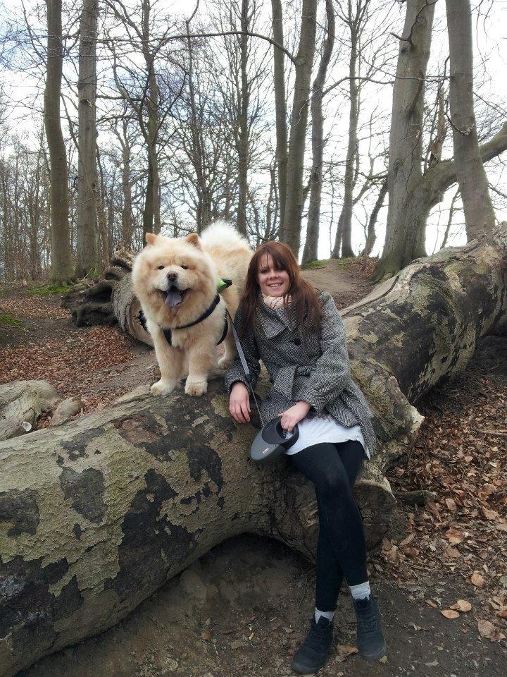 Chow chow Nin-T'sun Cooper De La Creme billede 22