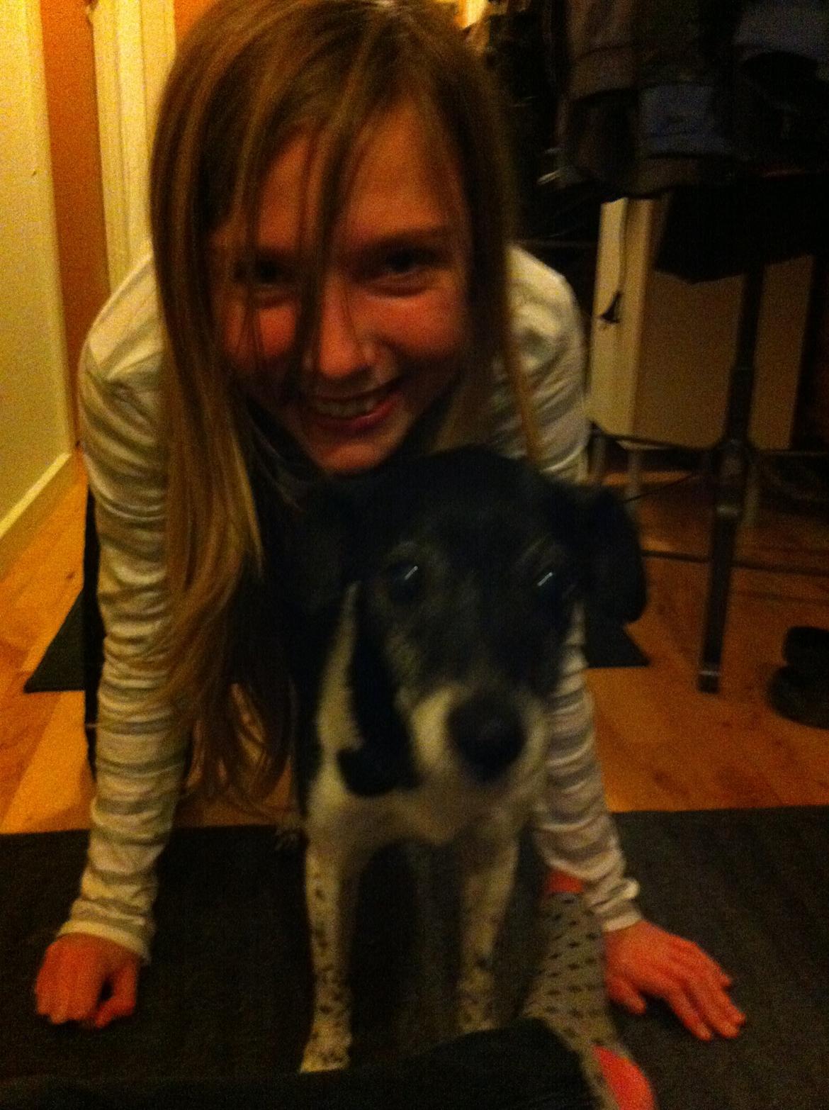 Dansk svensk gaardhund Tøsen - Tøsen og Nicoline<3 billede 6