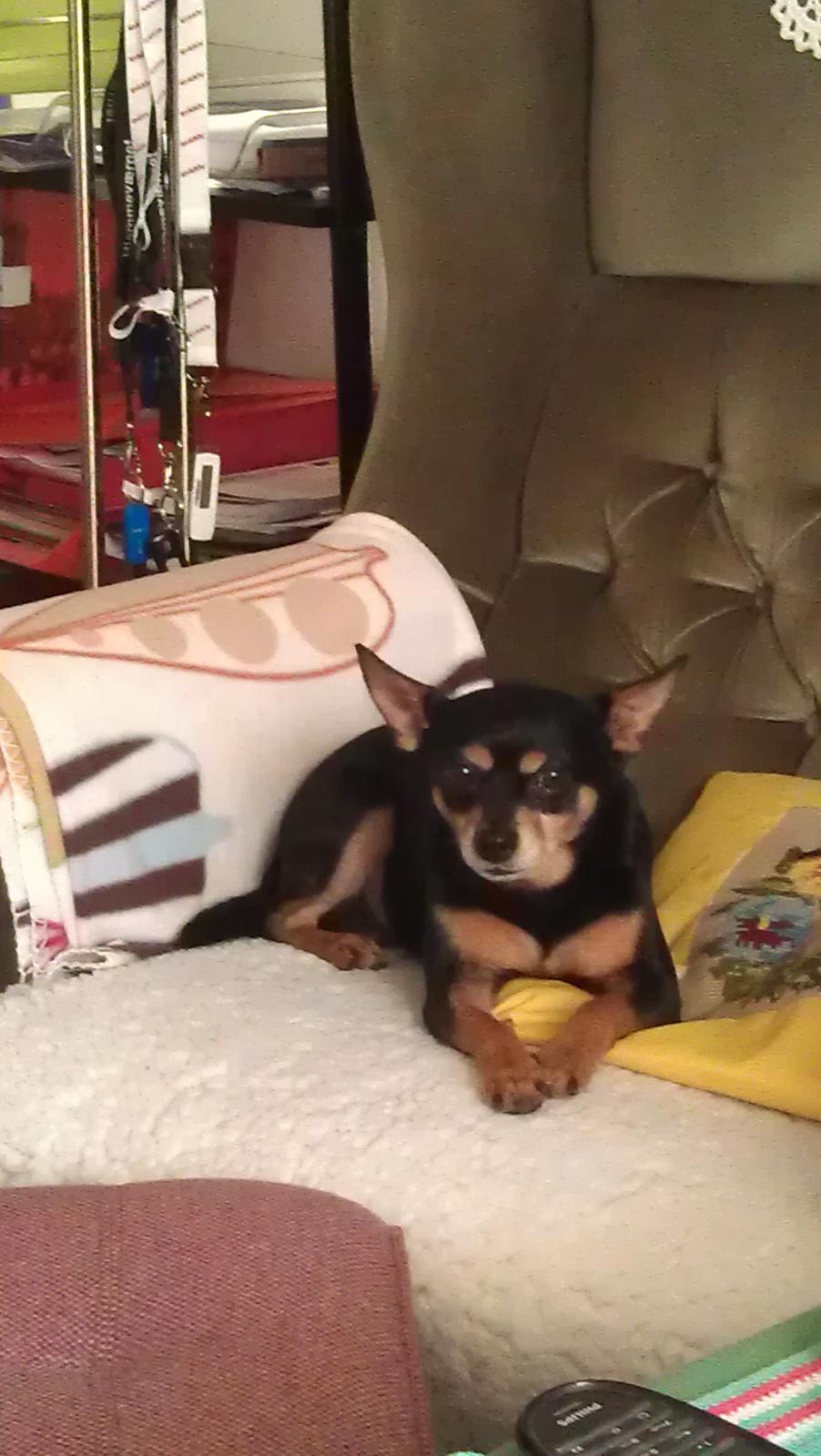 Blanding af racer Tarzan billede 6