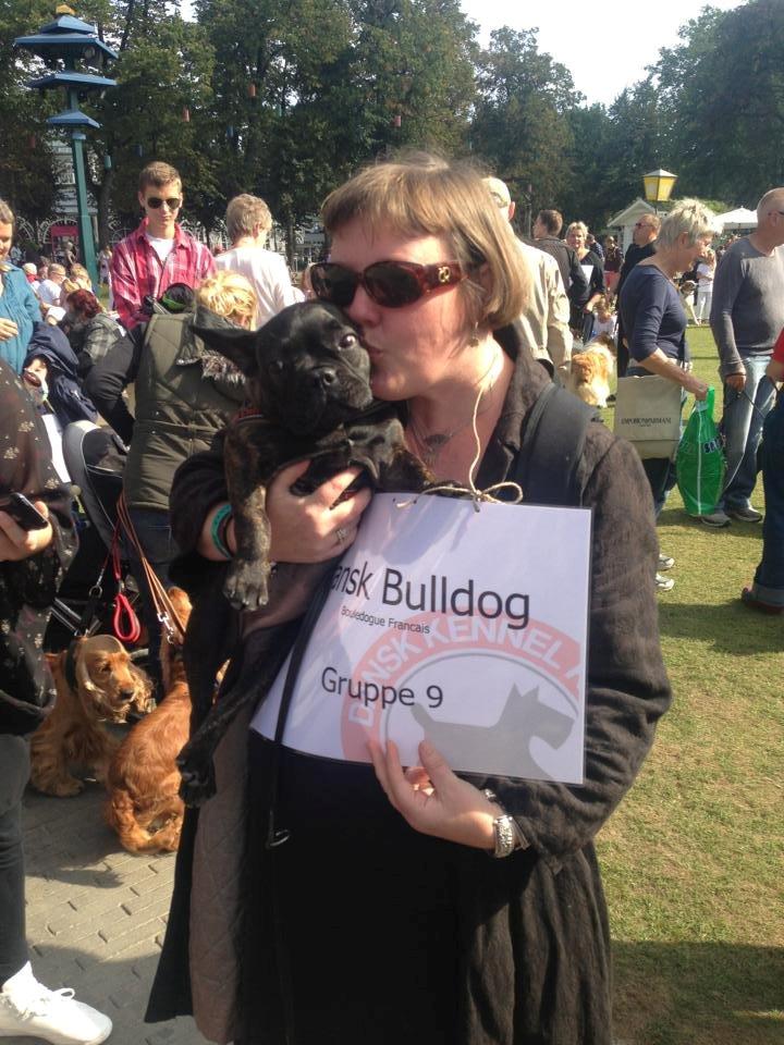 Fransk bulldog *Babette* - Babette og jeg til Hundens Dag i Tivoli. billede 17