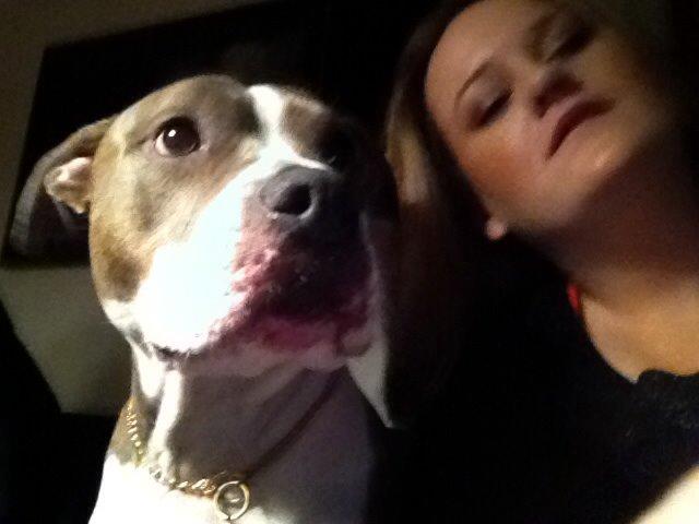 Amerikansk staffordshire terrier Mille - Min mor og selvf MIG 😀 billede 2