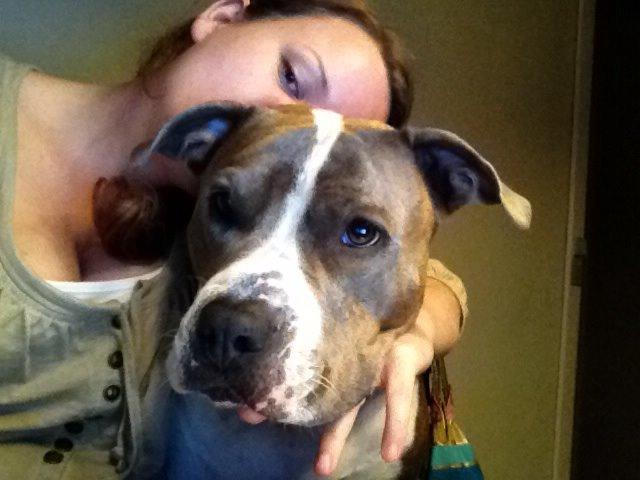Amerikansk staffordshire terrier Mille - Min mor og MIG billede 15