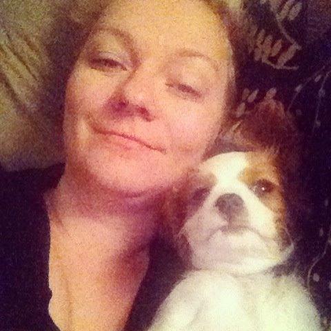 Cavalier king charles spaniel Arne - putter med sin mor i sengen. billede 7