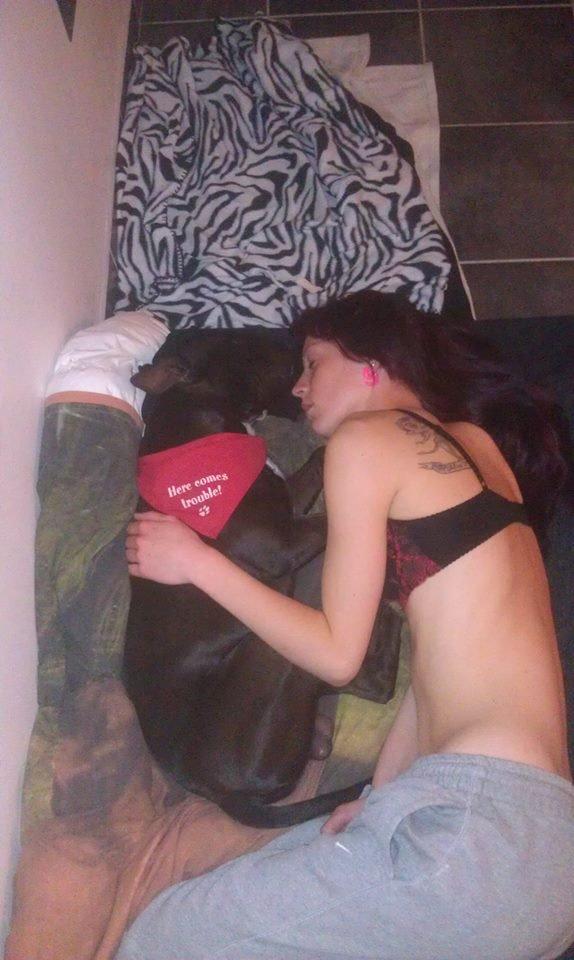 Blanding af racer Al Capone Junior (Capone) - ja her ligger vi jo godt billede 14