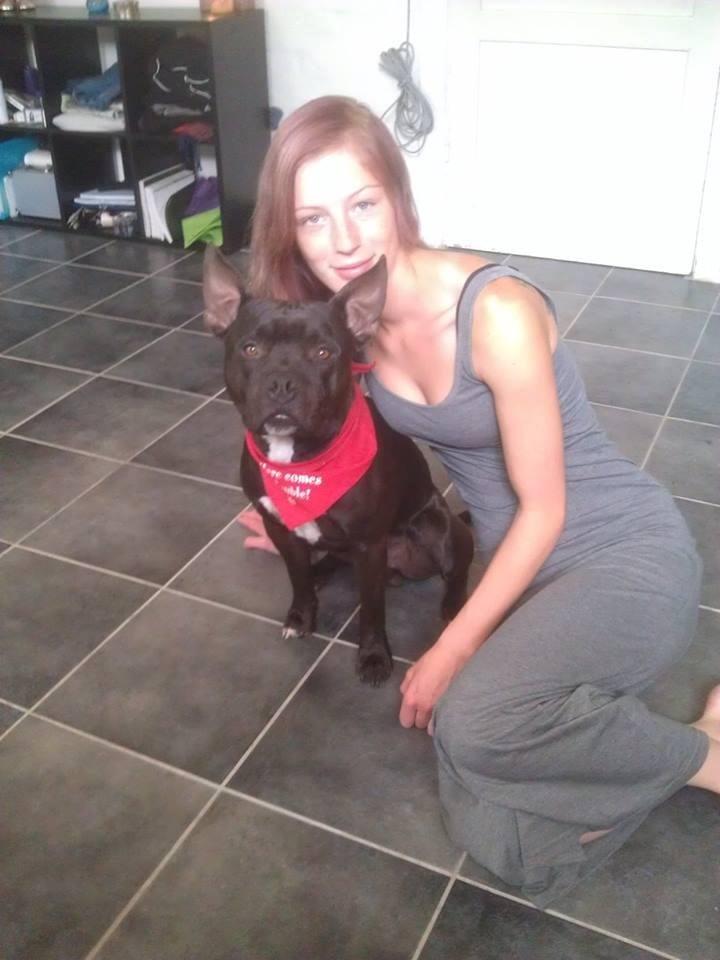 Blanding af racer Al Capone Junior (Capone) - HVORFOR TAGER DU BILLEDER billede 16