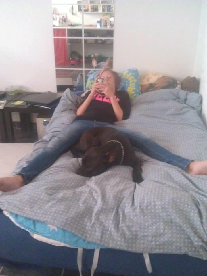 Blanding af racer Al Capone Junior (Capone) - zzzzzz billede 17