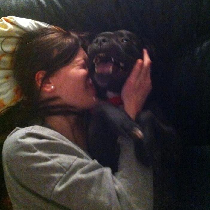 Blanding af racer Al Capone Junior (Capone) - jeg skal nok fange din næse ! billede 19