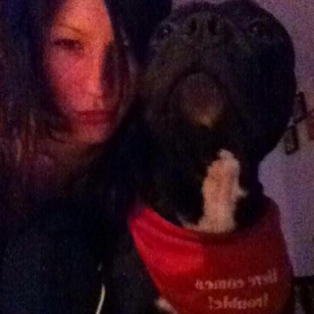 Blanding af racer Al Capone Junior (Capone) billede 20