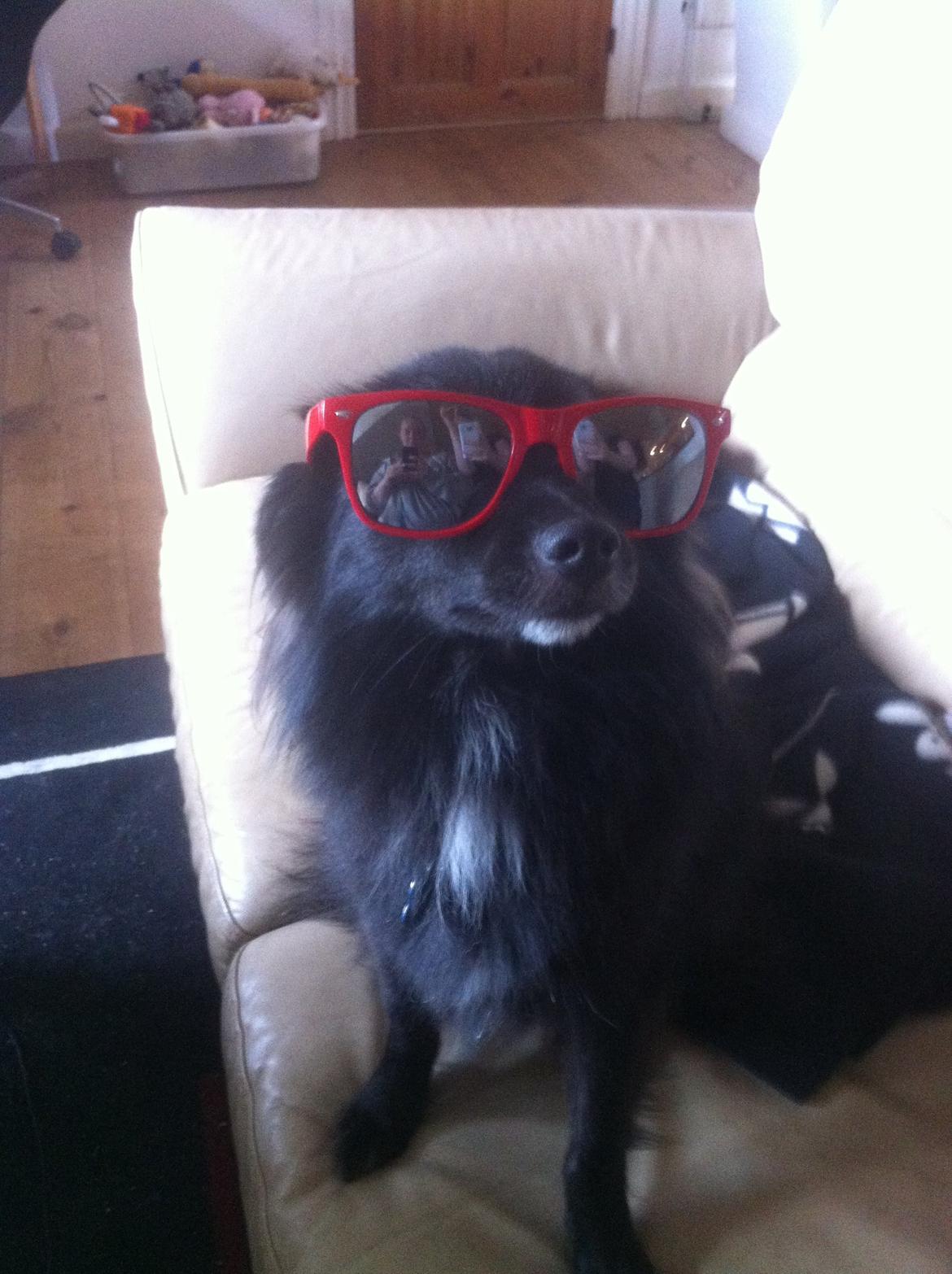 Blanding af racer Buster - Så jeg klar til masser af sol!  billede 8