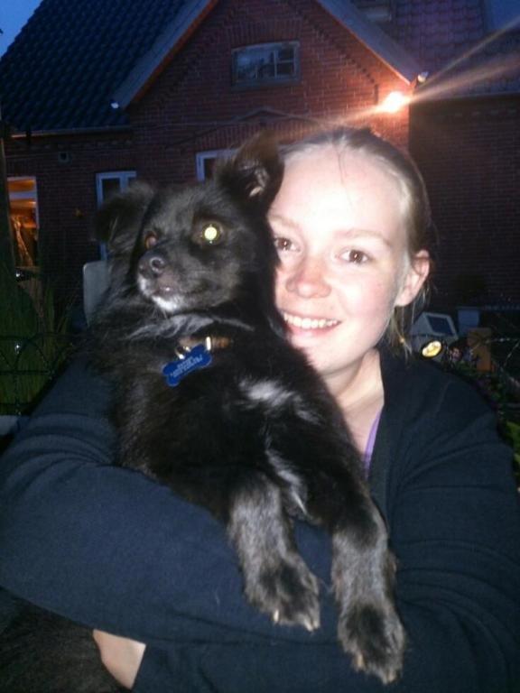 Blanding af racer Buster - En tur i haven er altid dejligt. billede 10