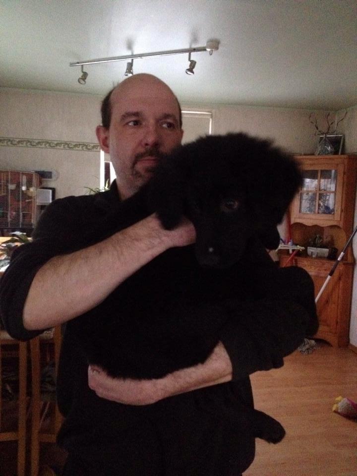 Blanding af racer Loke - Der er gået stærkt siden jul og se Loke nu han er blevet en del større "Billed fra den 24 Jan " billede 2