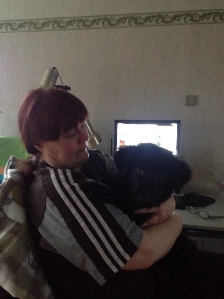 Blanding af racer Loke billede 5