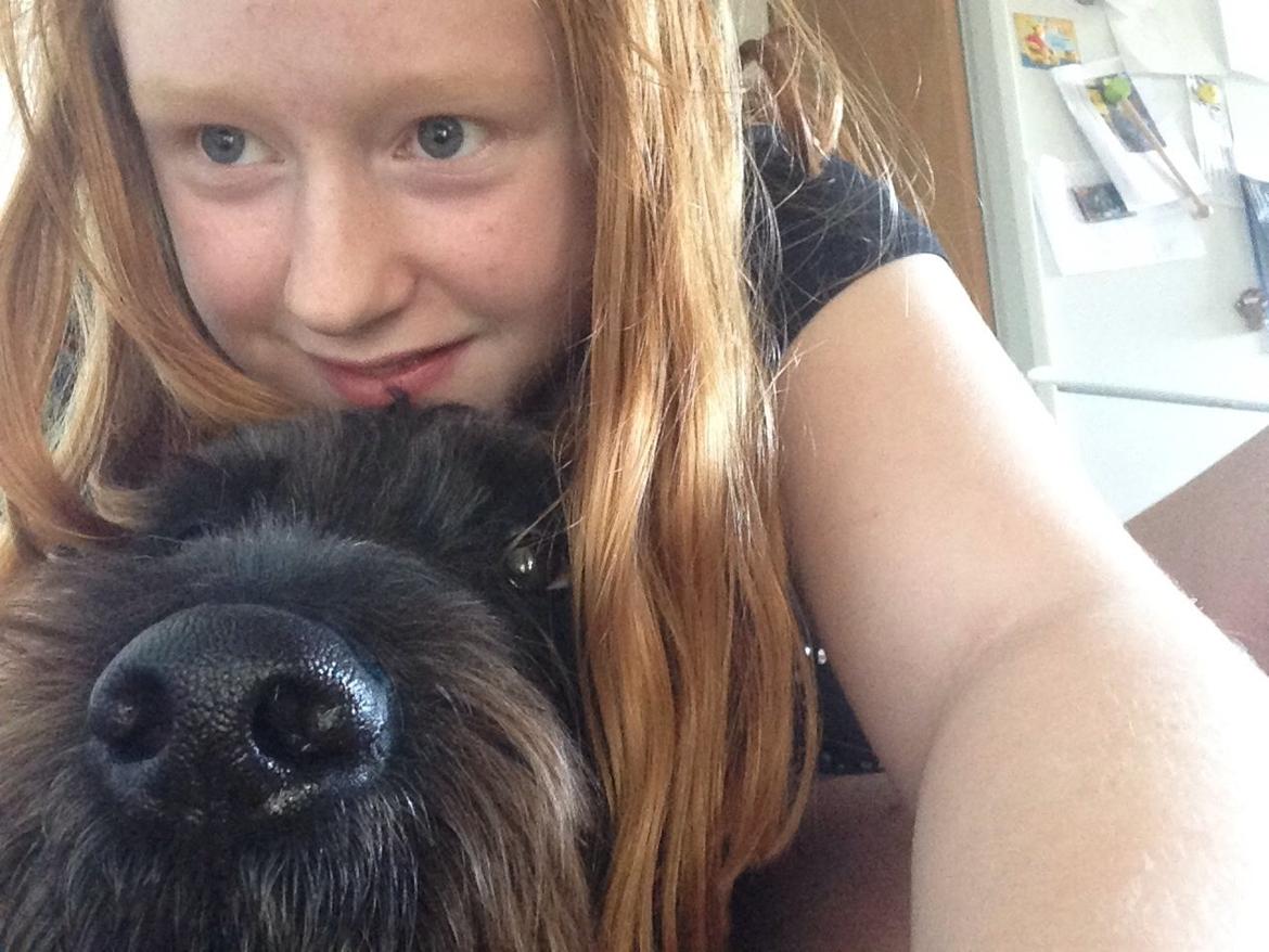 Ruhåret hønsehund Cent billede 12