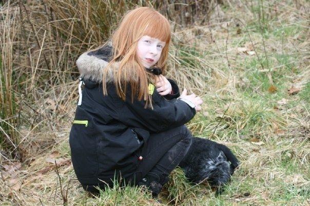 Ruhåret hønsehund Cent billede 32