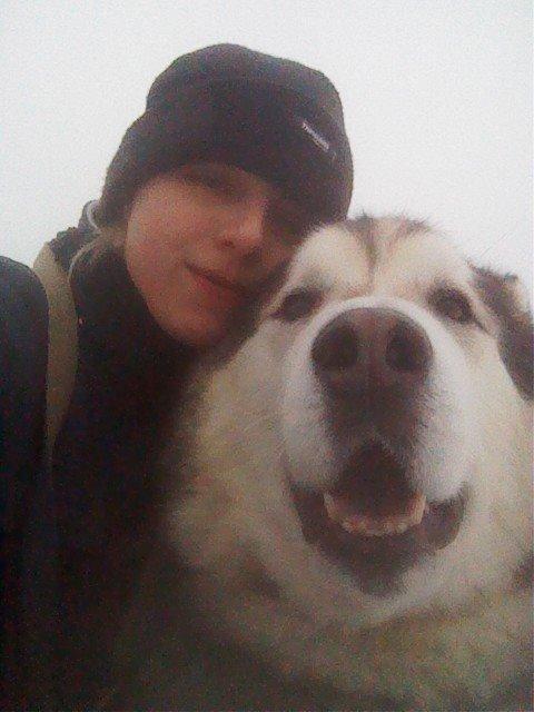 Alaskan malamute Ricky - 200114 Selfe' med den smukke - Gø og Gokke på tur billede 29