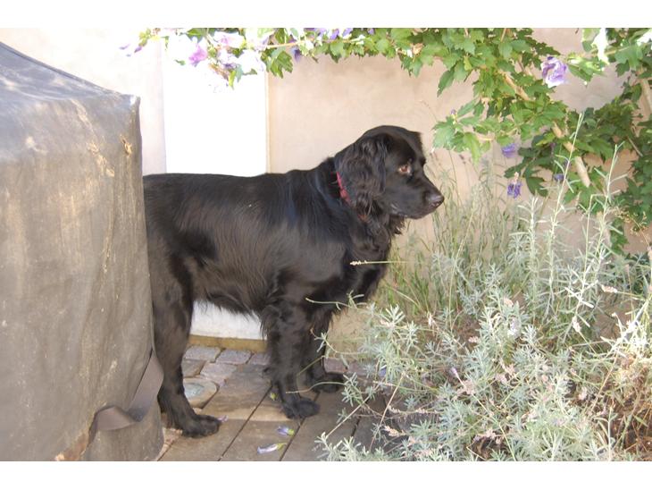 {{currentPhoto.altText}} billede {{currentPhoto.number}}