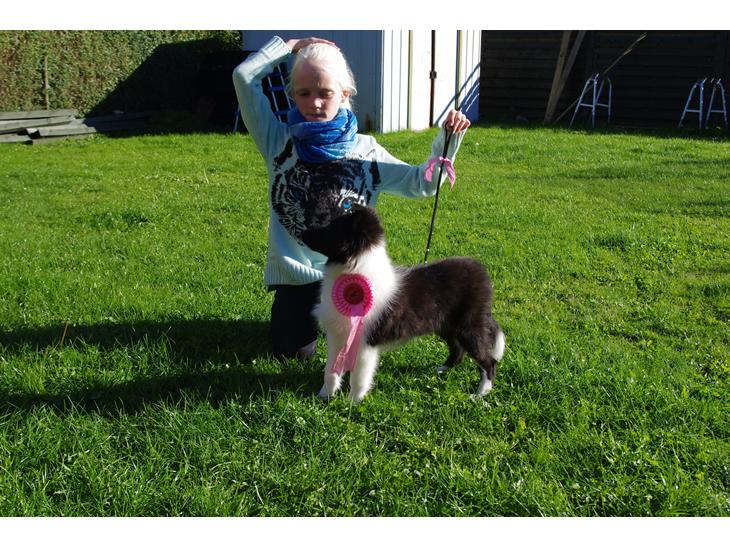 {{currentPhoto.altText}} billede {{currentPhoto.number}}