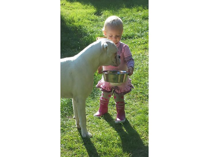 {{currentPhoto.altText}} billede {{currentPhoto.number}}