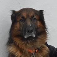 Blanding af racer Rico