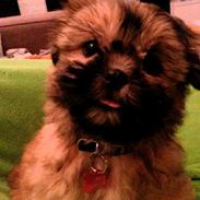 Blanding af racer Emma